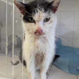 20210415_105923_resized