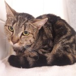 20210419_132257_resized