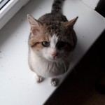 20210419_145625_resized