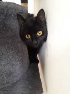 20210422_115849_resized