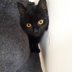 20210422_115849_resized