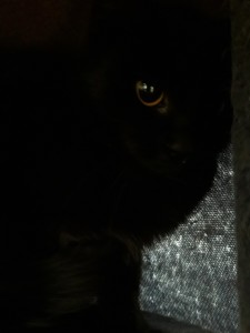 20210422_115920_resized