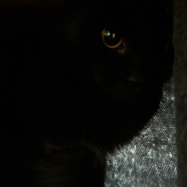 20210422_115920_resized