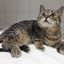 20210424_204903_resized