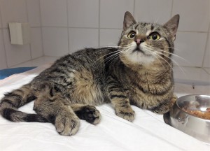 20210424_204903_resized