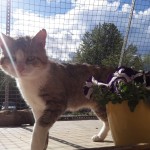 20210517_165403_resized