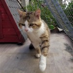 20210517_170627_resized