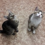 20210518_205419_resized