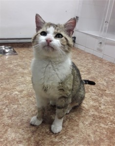 20210518_205524_resized