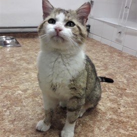 20210518_205524_resized