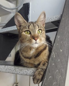 20210518_205723_resized