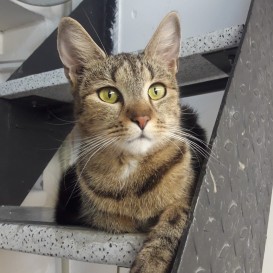 20210518_205723_resized