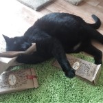 20210519_101904_resized