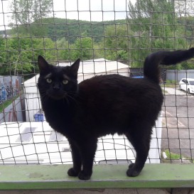 20210521_105930_resized_1