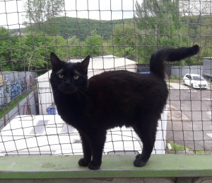 20210521_105930_resized_1