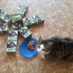 20210522_133855_resized_1