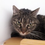 20210522_140541_resized