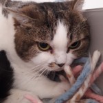 20210522_140745_resized