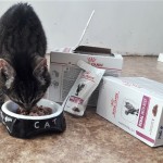 20210523_191500_resized