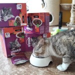 20210527_124034_resized