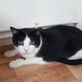 20210527_140732_resized