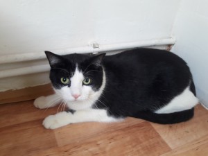 20210527_140732_resized