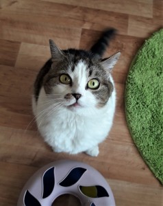 20210527_141148_resized