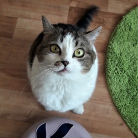 20210527_141148_resized