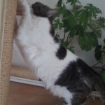 20210528_105605_resized