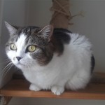 20210528_105636_resized