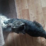 20210528_105855_resized