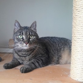 20210528_110008_resized