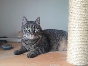 20210528_110008_resized