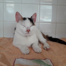 20210605_105605_resized_1