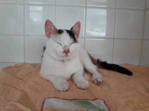 20210605_105605_resized_1