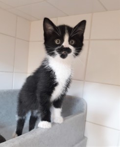 20210605_120809_resized_1