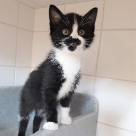 20210605_120809_resized_1