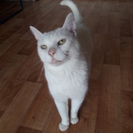 20210605_171233_resized_1