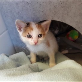 20210614_181929_resized