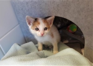 20210614_181929_resized