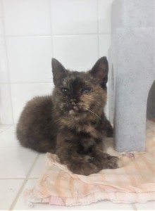 20210617_193759_resized