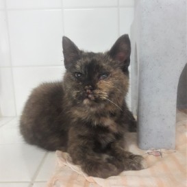 20210617_193759_resized