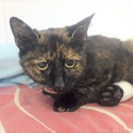 20210617_201105_resized