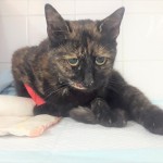 20210617_210007_resized