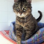 20210622_160453_resized