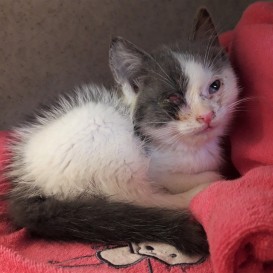 20210708_151137_resized