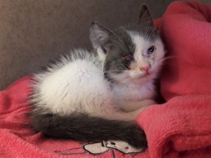 20210708_151137_resized