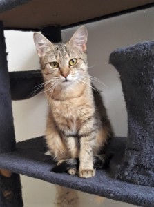 20210708_155930_resized