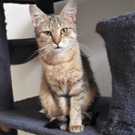 20210708_155930_resized