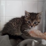 20210710_114051_resized